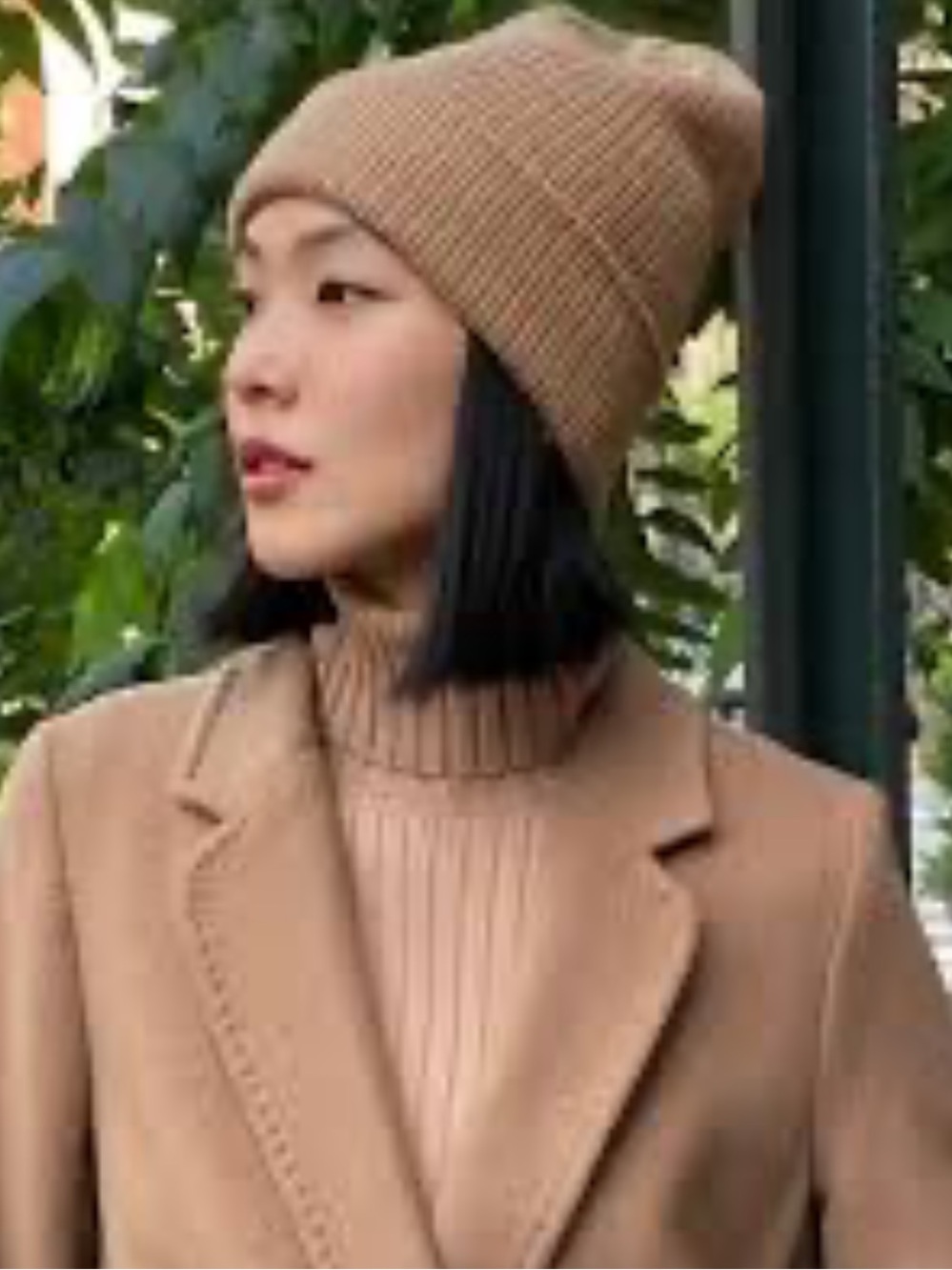 Aritzia Sunday Best Beanie